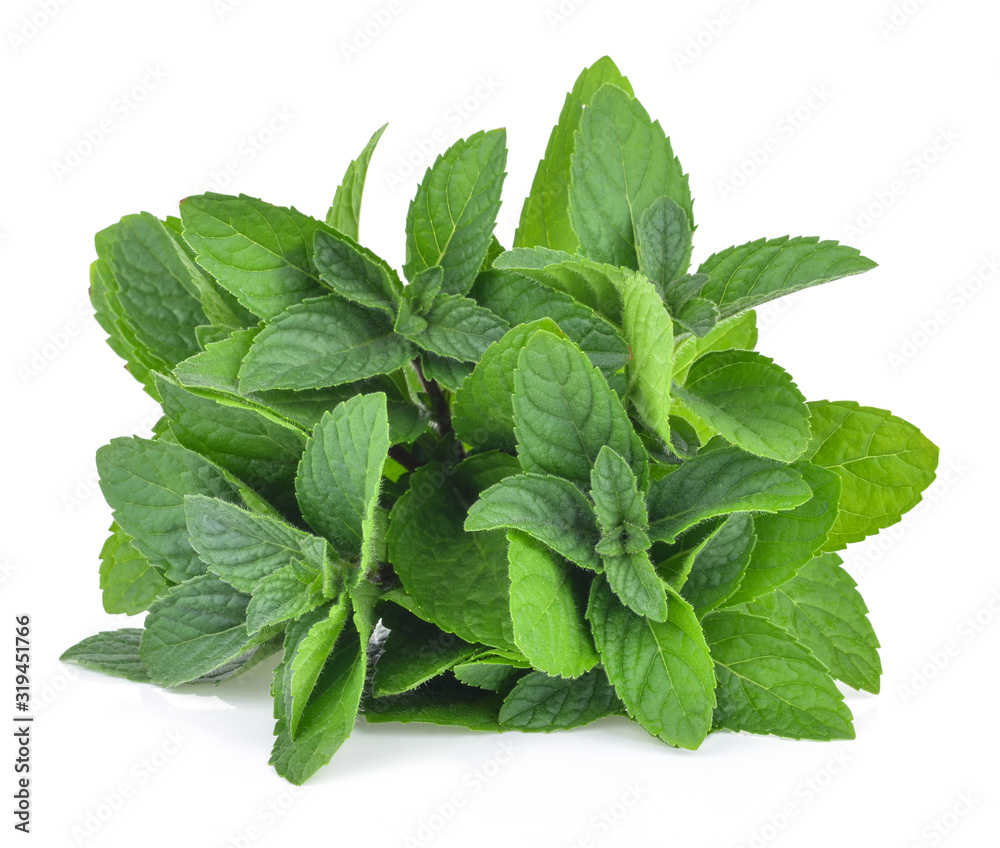 mint leafs isolated on a white background mint leafs isolated on a white background