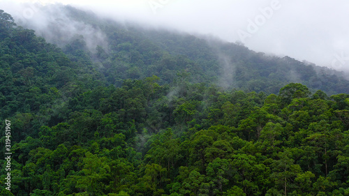 Mountain peaks in a tropical climate. Mountains covered by rainforest, aerial view. Highlands on Luzon Island, Philippines.