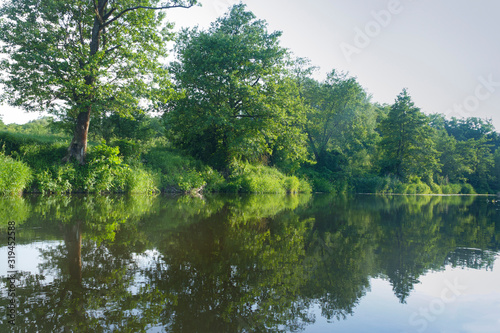 Calm river. Beautiful reflection of coastal trees.