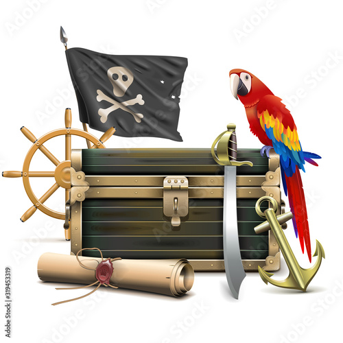 Vector Pirate Accessories Concept