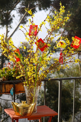 Lunar New Year decoration with Lucky Red Enevlopes and Yellow Chinese Lion Ornament hanging on branches with bright yellow flowers