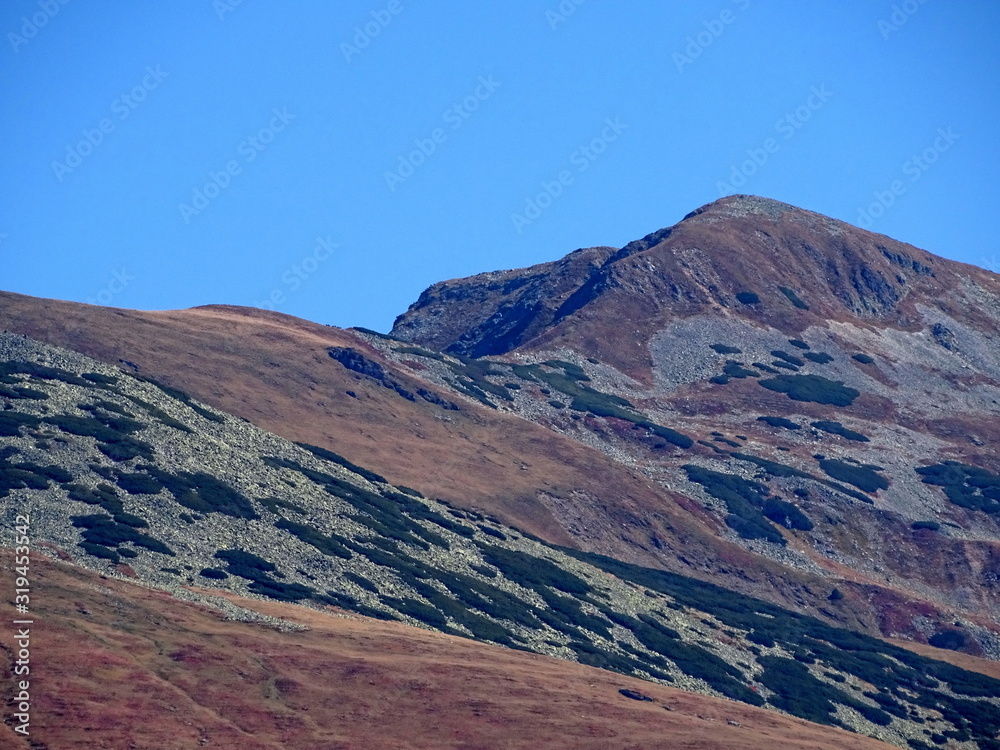 Naklejka premium view of mountains
