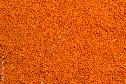 Red lentils source of vegetable protein and omega-3