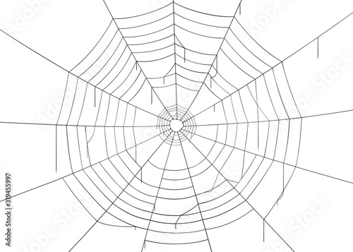 Spider web/cobweb. Isolated on white background, vector illustration, eps 10. 