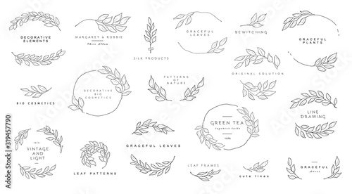 Leaf symbols, logos, icons and signs collection. Set of floral design elements.