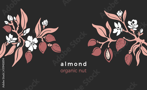 Almond template. Vector tree. Farm plantation