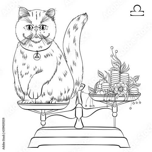 Zodiac. Vector illustration of the astrological sign of Libra as a Exotic shorthair cat with raised front paw. Line art template suitable for coloring book page. Print isolated on white background