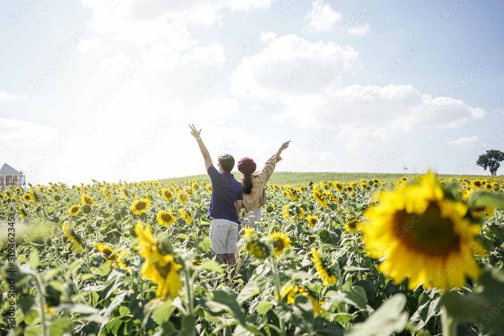 A young couple among Beautiful Landscape of sunflowers blooming in the field with mountain range horizon background with sunlight. A young couple among Beautiful Landscape of sunflowers blooming in the field with mountain range horizon background with sunlight.