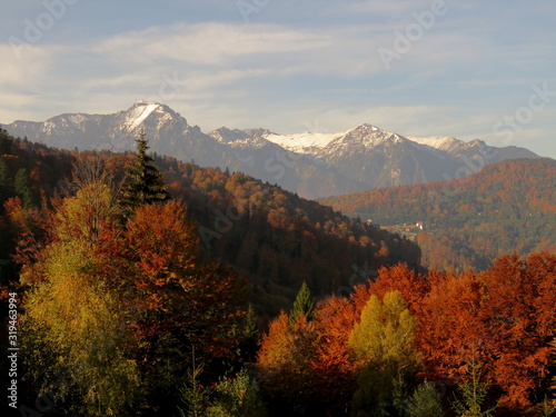 autumn in the mountains © Bogdan