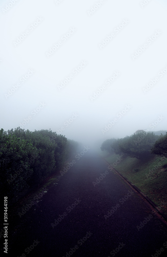 Asphalt in dense fog. Azores, Portugal. Asphalt in dense fog. Azores, Portugal.