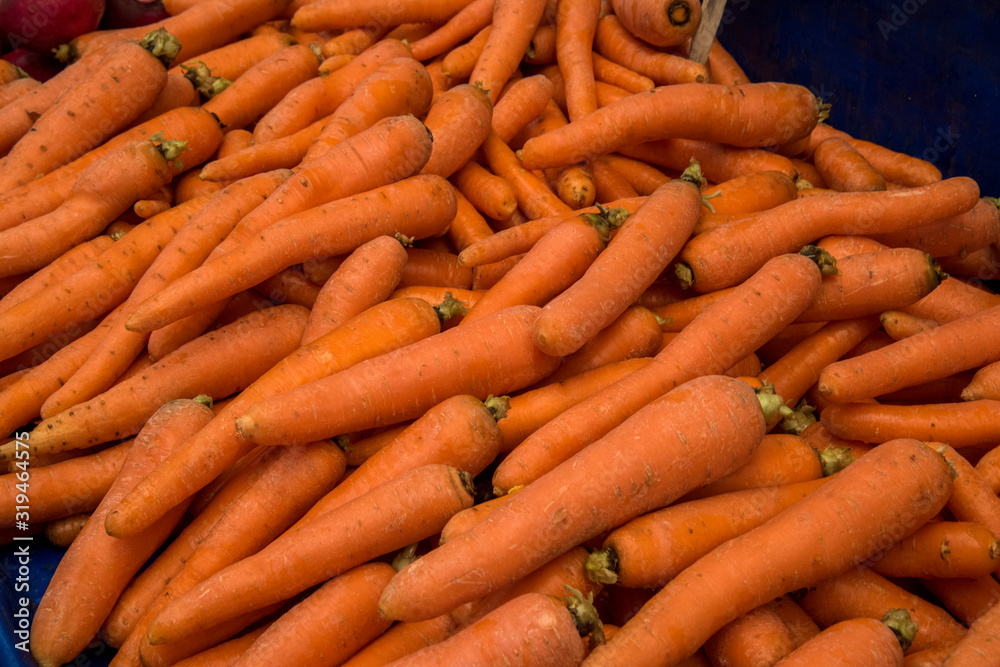 bunch of fresh carrots in a bazaar bunch of fresh carrots in a bazaar