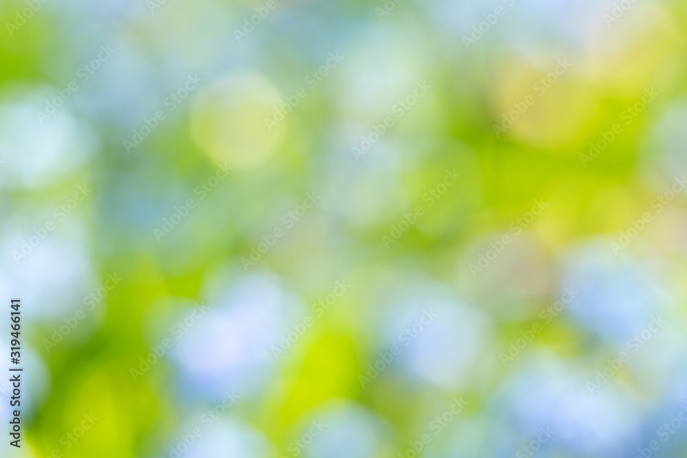 Fototapeta premium Abstract blur spring background. Green blue and yellow blurred background