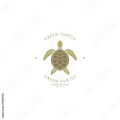 Scuba diving. Logo template. Green sea turtle