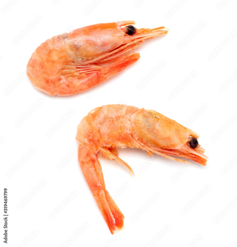 Red shrimp isolated on a white background Red shrimp isolated on a white background