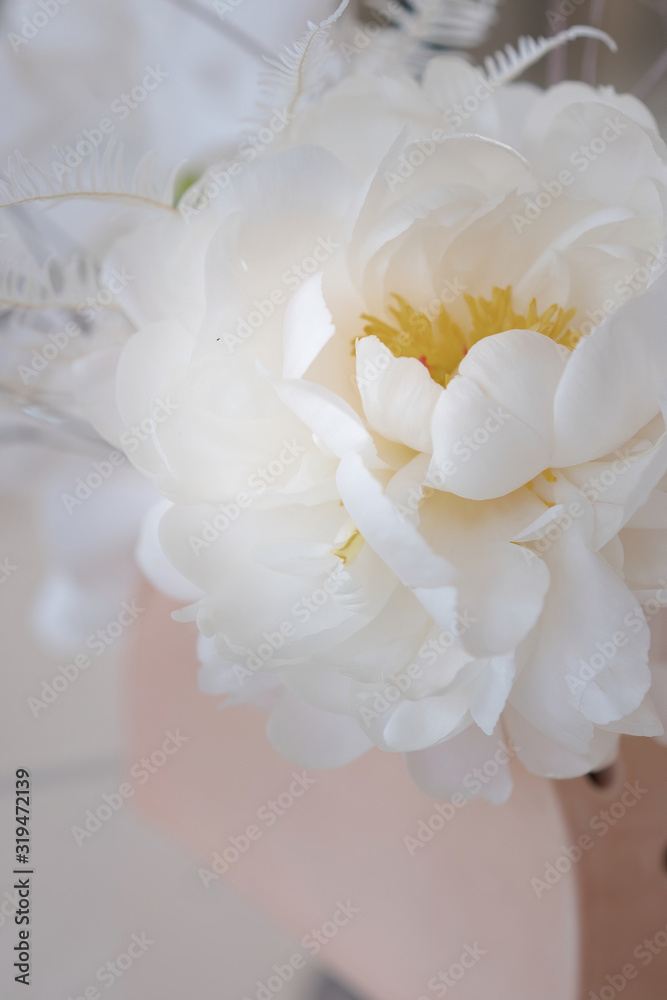 Obraz premium Stunning beauty blooming white-pink peony flower shot close.