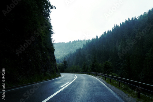 asphalt road that goes through a dark misterious pine forest