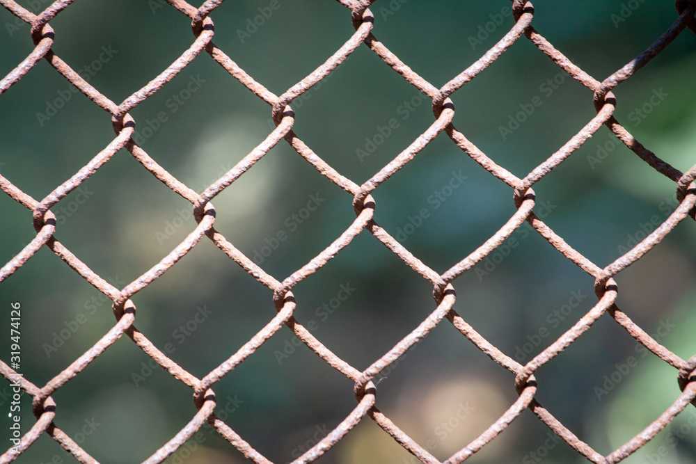 Fototapeta premium rabitz netting texture background. Fencing metal mesh fence.