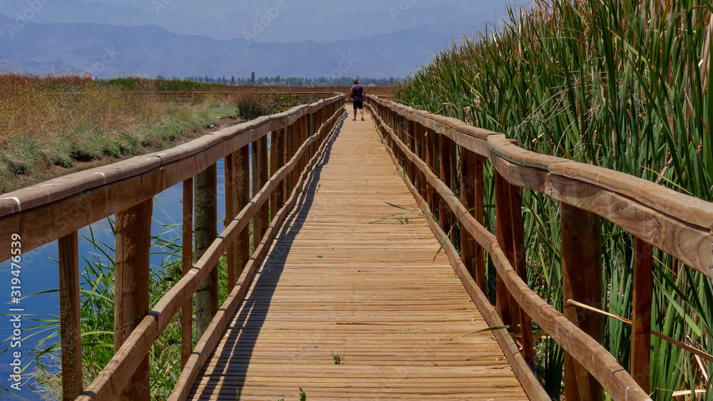 Paseo por el Humedal de Batuco