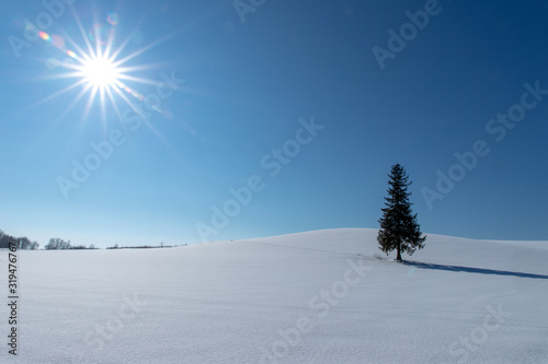 冬の美瑛　美しい北海道の風景