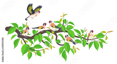 Goldfinch Family  on Tree Branch Vector Flat