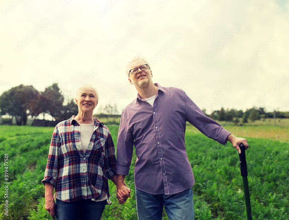 farming, gardening, agriculture and people concept - happy senior couple at summer farm farming, gardening, agriculture and people concept - happy senior couple at summer farm