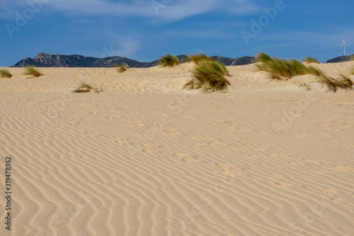 Tarifa beach on a beautiful sunny day. Spain.