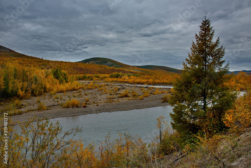 Russia. Far East. The colours of autumn are cold-water rivers of Magadan.