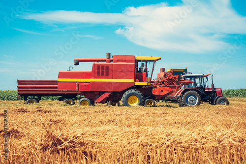 Tractor and combine harvesting wheat