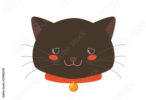 Cute Black Kitten Begging Face with Red Collar