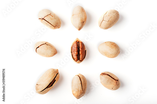 Set of peeled pecans in the center surrounded by nuts in the shell, isolated on a white background, square composition.