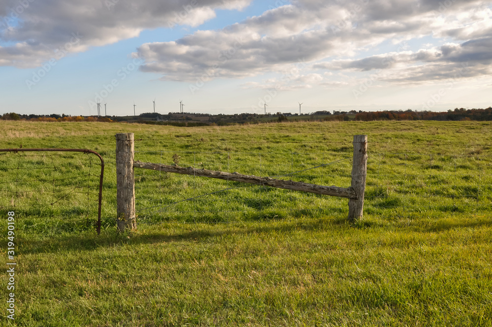 Vacant lot with fence