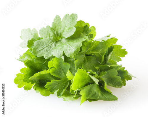 Fresh parsley leaves isolated on white background