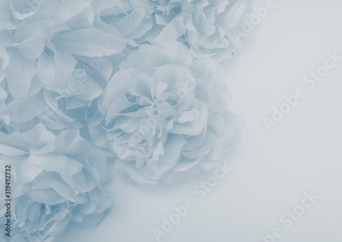 Beautiful abstract color purple and blue flowers on white background and blue flower frame and purple leaves texture, light blue background, colorful banner happy valentine