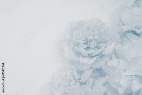 Beautiful abstract color purple and blue flowers on white background and blue flower frame and purple leaves texture  light blue background  colorful banner happy valentine