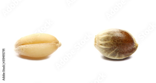 Wheat grain and hemp seed macro isolated on white background