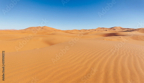 Sand dune and blue sky without clouds. Sahara Desert, Morocco. Travel photo, copyspace.
