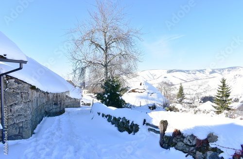 Famous Piornedo mountain village after a snowfall with ancient round Palloza stone houses with thatched roofs. Ancares, Lugo, Galicia, Spain. photo