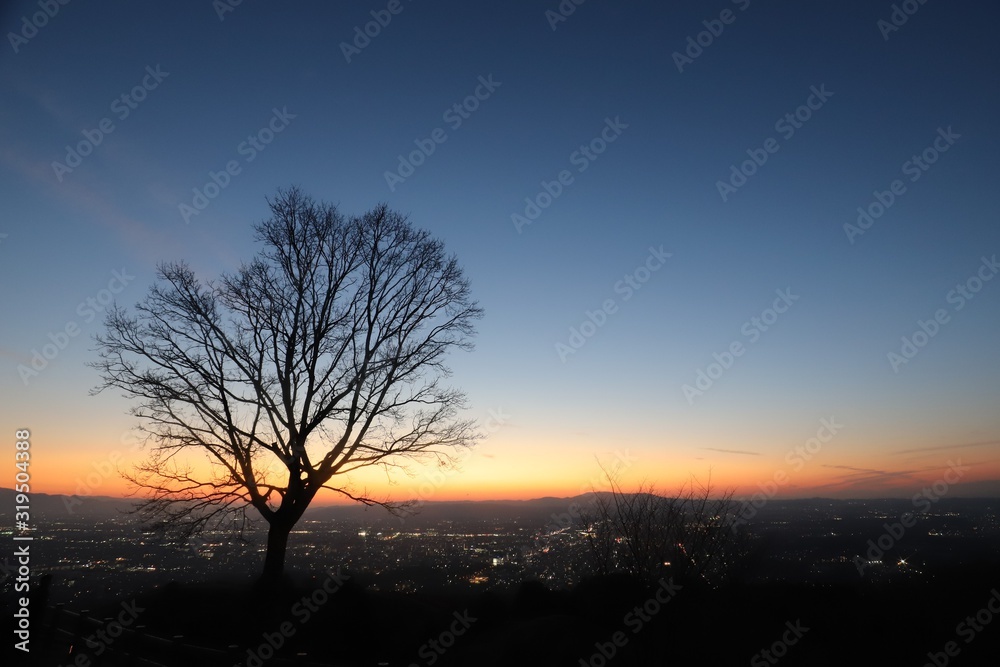 Fototapeta premium 若草山からの夕日