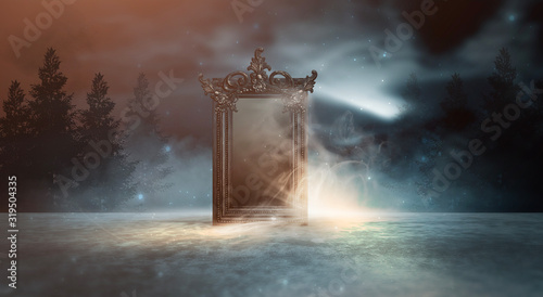 Dark forest, magic mirror. ...