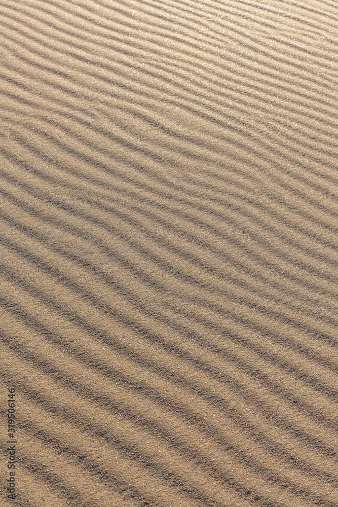 Sand Texture. Background from fine sand. Sand background. selective focus Sand Texture. Background from fine sand. Sand background. selective focus