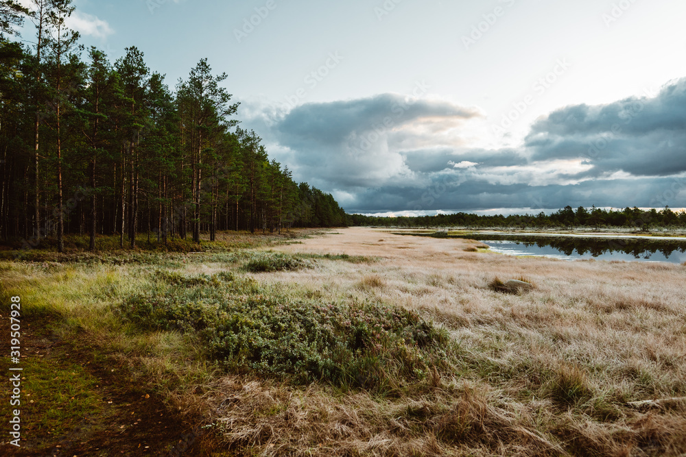 Lahemaa national park in Estonia.