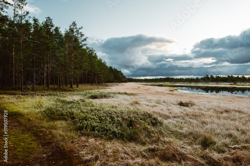 Lahemaa national park in Estonia.