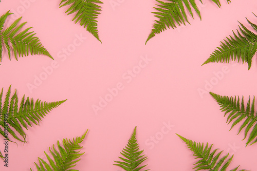Flat lay background with fern leafs around the image and pink background with space for copy
