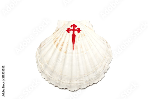Fotografering Shell isolated on white background