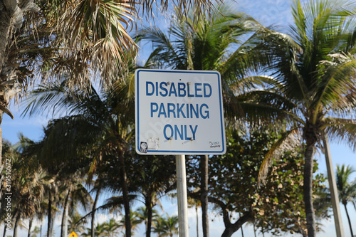 Disabled Parking Sign in Palm trees and Florida  © John