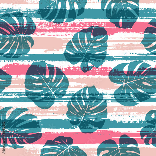 Modern monstera philodendron liana hole leaves 