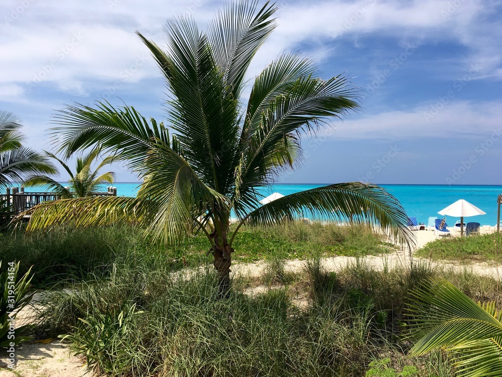 Obraz premium Colombus 2017