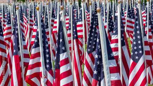 Dozens of national flags of the United States of America on poles in a field. 