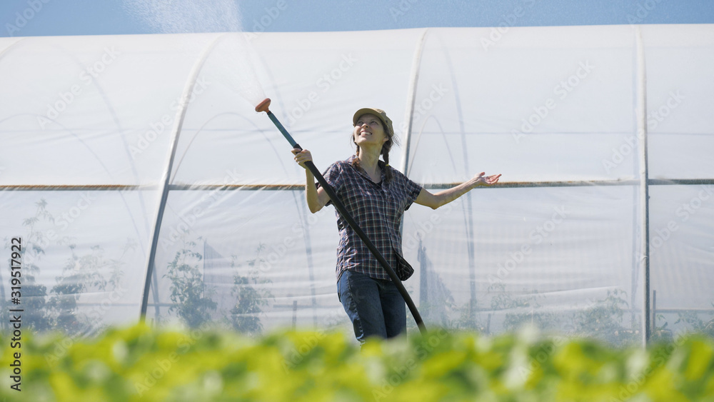 Pretty farmer irrigates green young seedlings on the field near the greenhouse Pretty farmer irrigates green young seedlings on the field near the greenhouse
