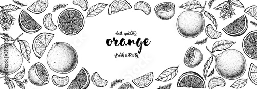 Orange hand drawn vector illustration. Orange sketch for design. Black and white style. Citrus orange pattern illustration. Orange packaging design.